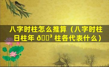 八字时柱怎么推算（八字时柱日柱年 🌳 柱各代表什么）